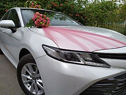 Toyota Corolla new - комфортные свадебные седаны для Вас! Более тридцати белоснежных авто одной марки и модели на свадьбу, украшения